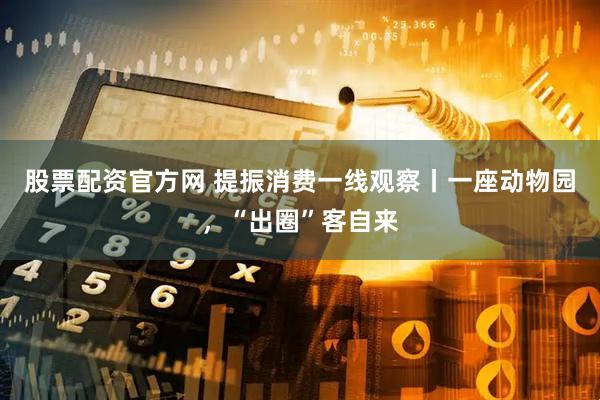 股票配资官方网 提振消费一线观察丨一座动物园，“出圈”客自来